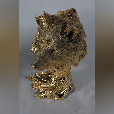 היישר מהיבואן - ראש של שואל זהב 