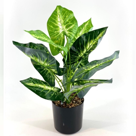 עציץ גבוה עלים מנומר 