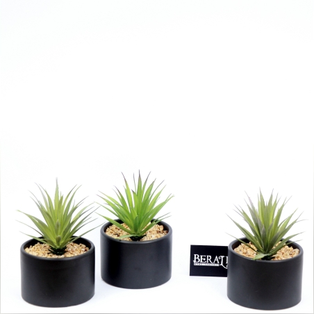 עציץ נוי -שחור 1597