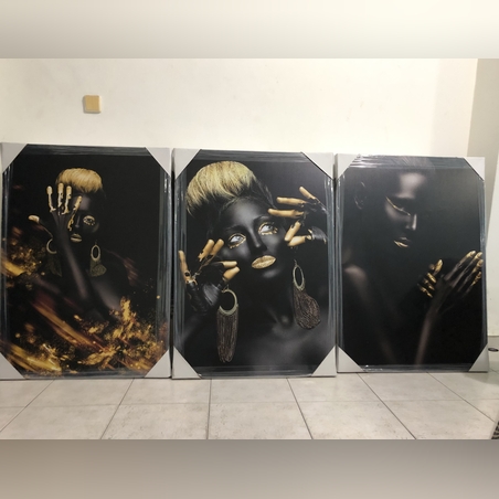 שלישית אפריקאיות דגם 869