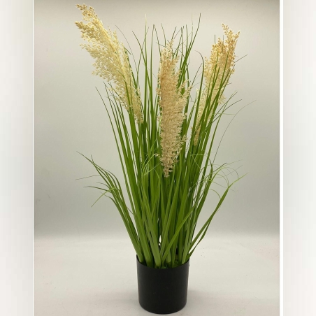 עציץ דשא דגם פאמפס 70*13 ס