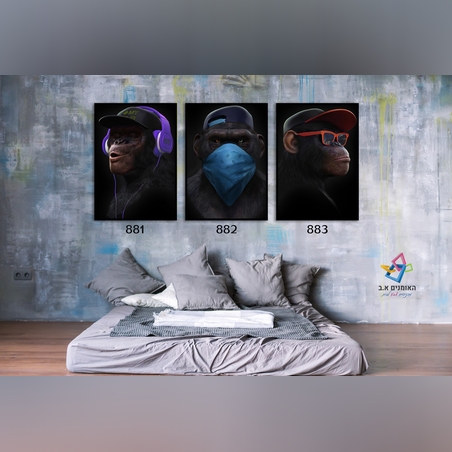 שלישית קופים