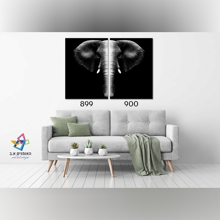 זוג תמונות ממוסגרות בהדפס - פיל כסף