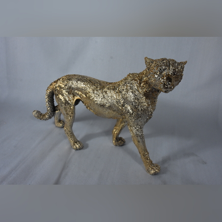 היישר מהיבואן - נמר הולך