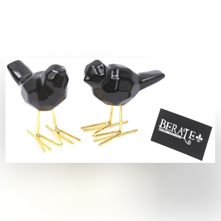 זוג ציפורים שחורות