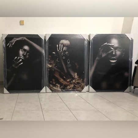 שלישית אפריקאיות דגם 873