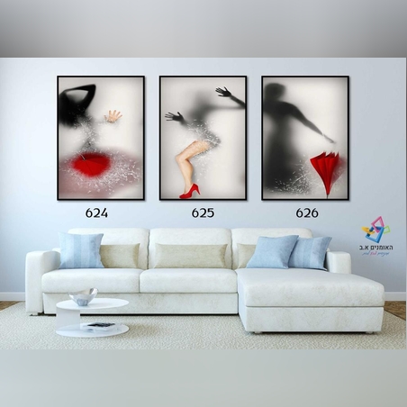 שלישיה ממוסגרת דגם 624,625,626