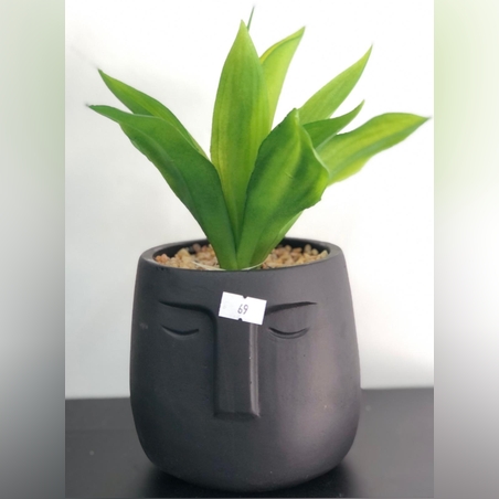 עציץ בדמות&שחור