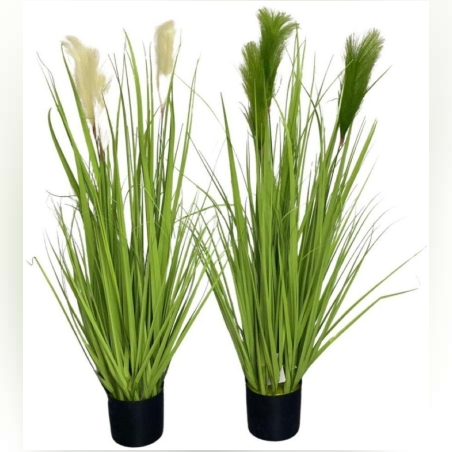 עציץ דשא נוצות סגורות 13*90 - יחידה 200