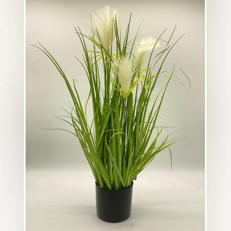 עציץ דשא דוקים נוצות 13*70 ס