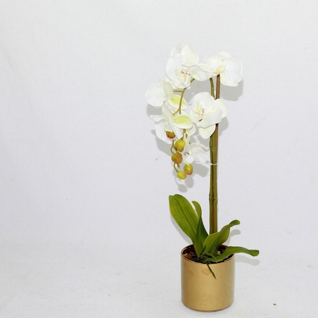 פרח סחלב קטן