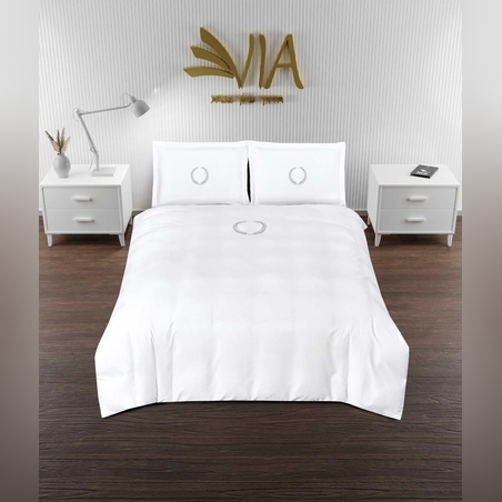 - דגם   לואי 3