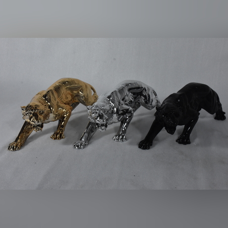 היישר מהיבואן - נמר תוקף