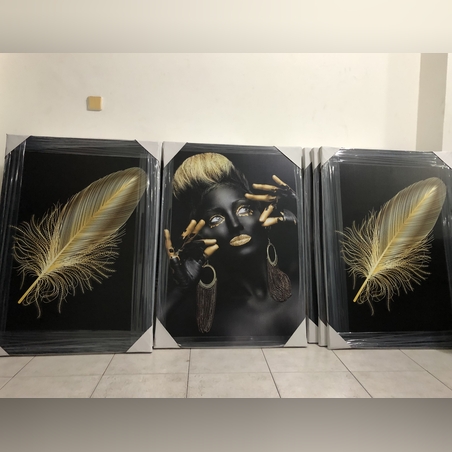 שלישית אפריקאיות דגם 870