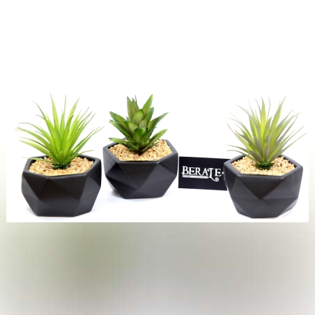 עציץ נוי- שחור 1595