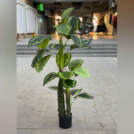 -דגם צמחיה