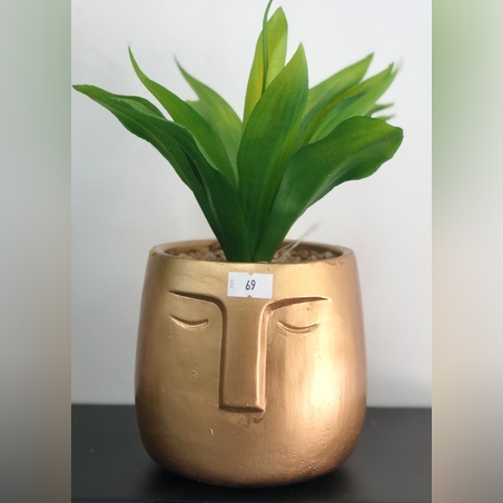 עציץ בדמות&זהב