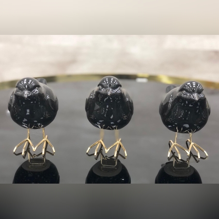 שלישיית ציפורים&שחור