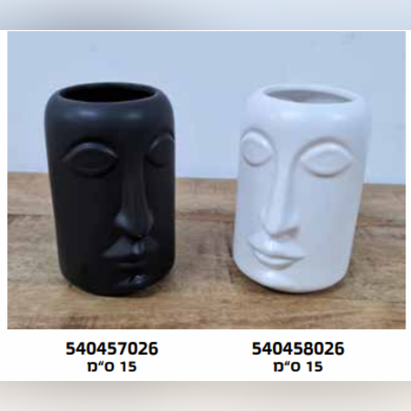 עיצוב לבית - אגרטל של פנים בצבע לבן ושחור - מחיר ליחידה