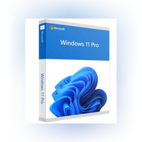 Windows 11 Professional Retail