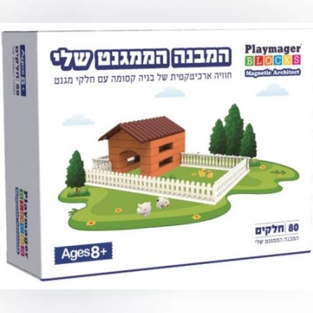 המבנה הממגנט שלי 80 חלקים