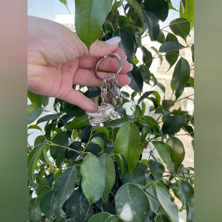 מחזיק מפתחות אופנוע