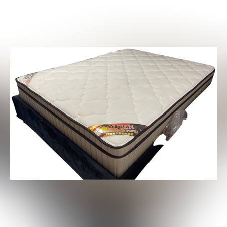 פיקאסו ויסקו פלוס