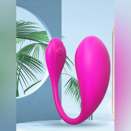 דולפין אלחוטי