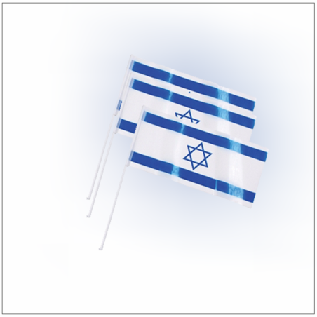 חבילת דגלי ישראל לילד 10X15