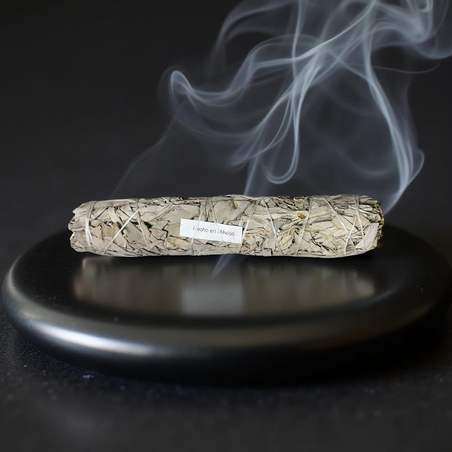 מרווה לבנה – לטיהור, ניקוי ואנרגיה חדשה