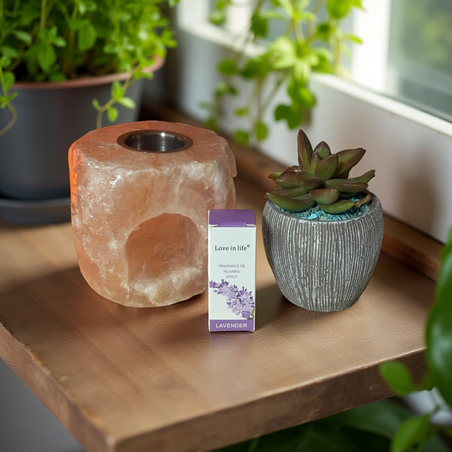 מרחב של שקט וצמחיה