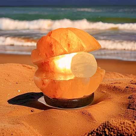 מנורת מלח צדף