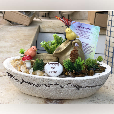 מזרקה אובלית סירה מעורבת סיטרין וטייגר איי