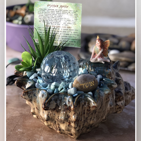 מזרקת קונכיה אמזונייט