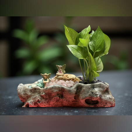 הרמוניה בגזע