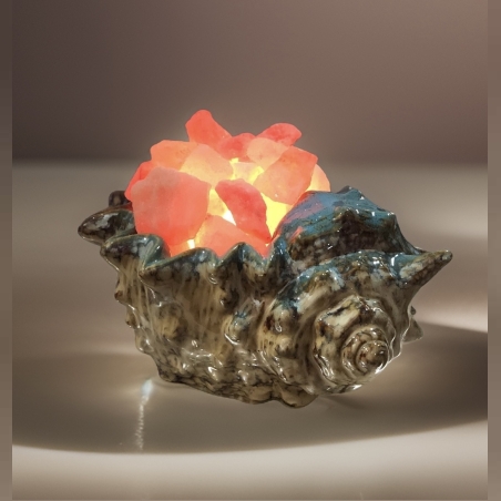 מנורת מלח קונכיה