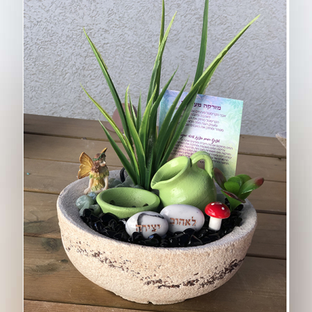 מזרקה בינונית מעורבת אוניקס ואוונטורין