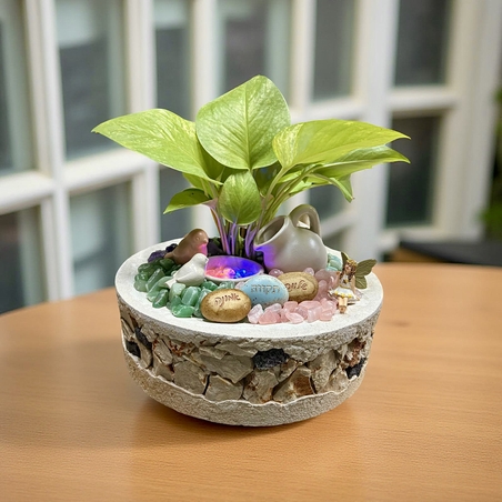 מזרקת אנרגיה ואור בשילוב קריסטלים וצמח חי