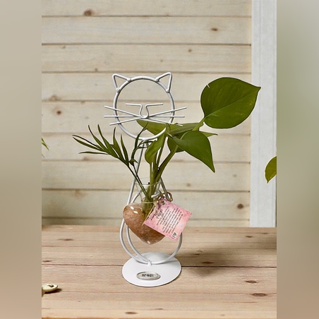 חתול הלב הקריסטלי - אנרגיה, טבע ואהבה