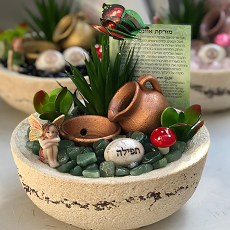 מזרקת אוונטורין בינונית