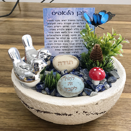 עציץ קריסטל בכלי חרס מיני עם אבני קריסטל לפי בחירה