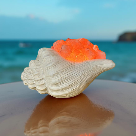 להבת הים - מנורת צדף ממלח ההימלאיה