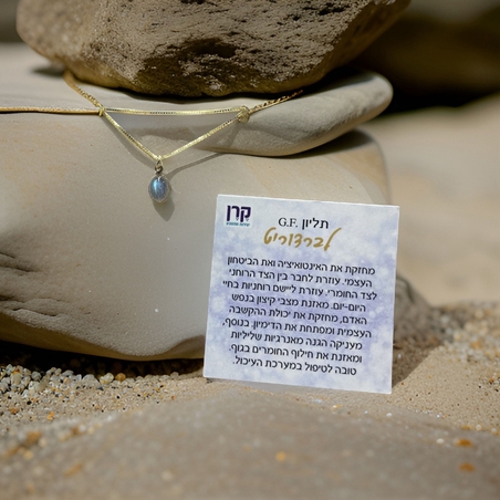 שרשרת עם תליון קריסטל לברדורייט