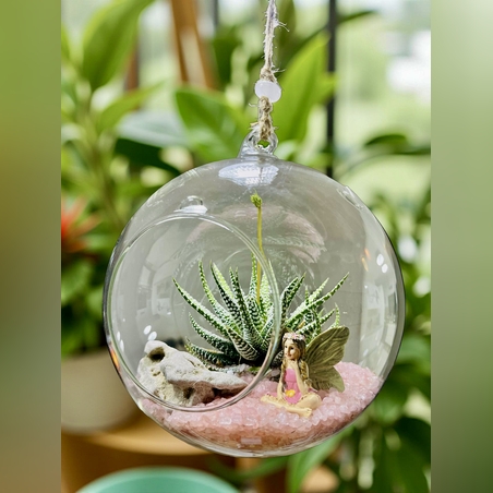 בועת קריסטל בשילוב צמח סוקולנט פראי ב2 גדלים