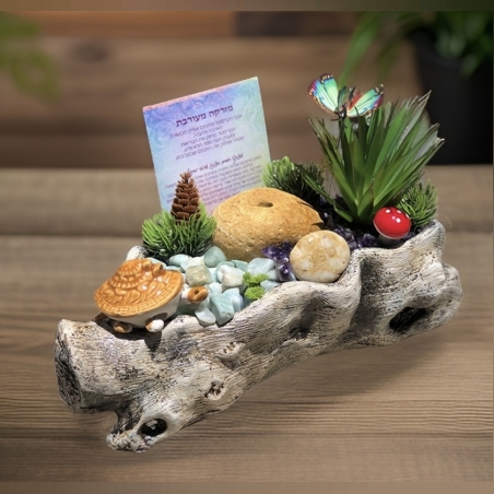 מזרקת גזע מעורבת אמטיסט ואמזונייט