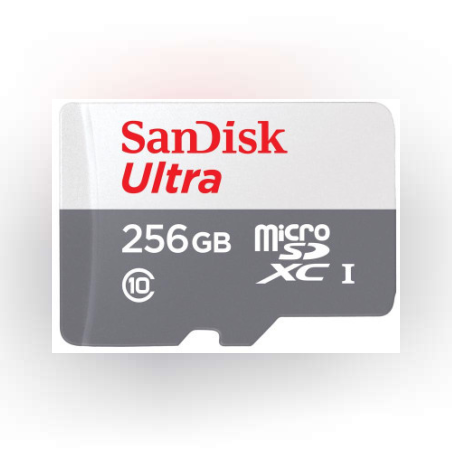 כרטיס זיכרון SANDISK MICRO SD SDSQUNR-256G-GN3MN 100MB/s
