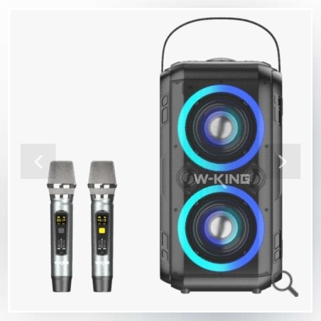 בידורית עם 2 מיקרופונים W-KING