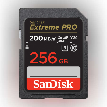 כרטיס זיכרון בנפח GB256 S.D EX PRO 4K 200S מבית SANDISK