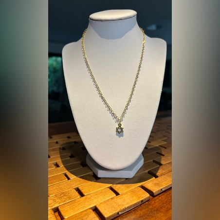 שרשרת מתכת מוזהבת עם תליון מגן דויד