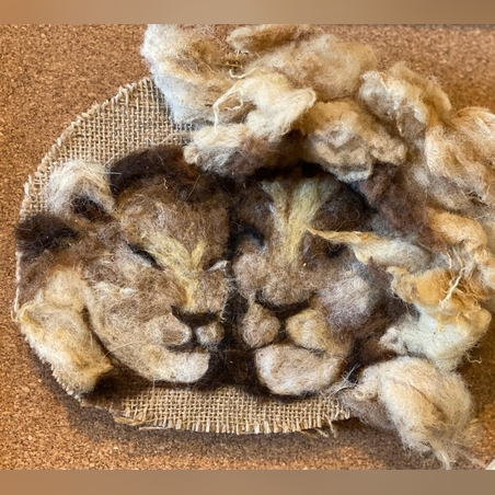 תמונת קולז׳ של אריה ולביאה